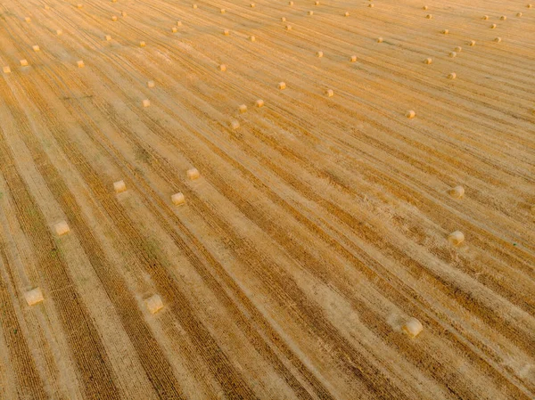 Luftaufnahme Sonnenuntergang Feld Ernte Herbst Zeit Heustapel — Stockfoto