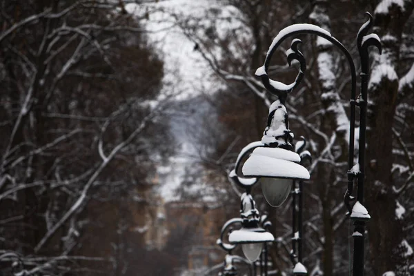 パークコピースペースの雪の街の光が — ストック写真