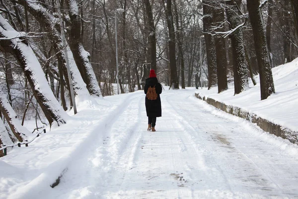 Mujer Traje Invierno Caminando Por Parque Nevado Camino Sombrero Rojo — Foto de Stock