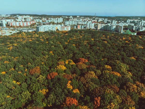 Вид Громадський Міський Парк Фоні Осіннього Сезону — стокове фото