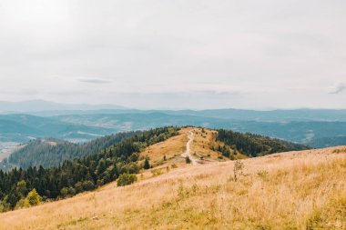 Dağlardaki patika yolu sonbahar manzarası