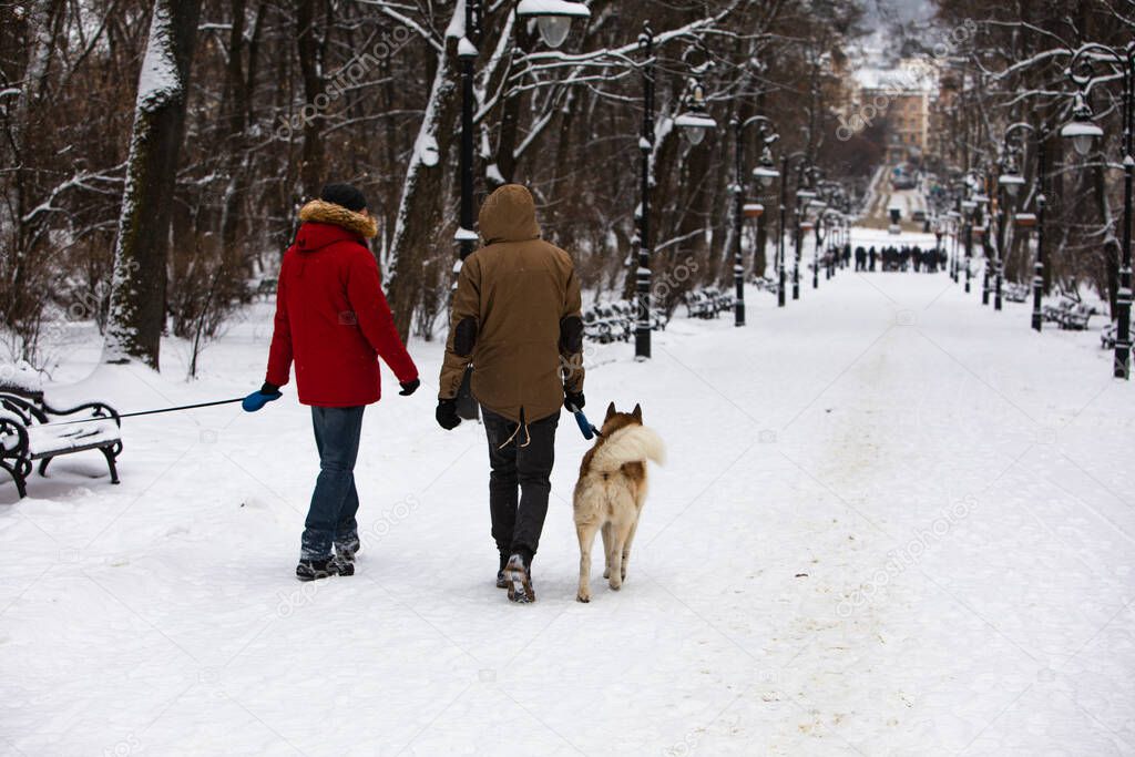 two friends walking by snowed city park with husky dogs copy space