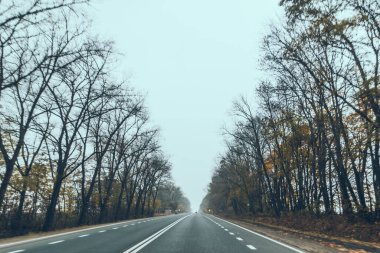 Sonbahar araba seyahat konsepti ağaçlar sarı yapraklı düz yol