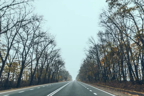 Φθινόπωρο Αυτοκίνητο Ταξίδια Έννοια Δέντρα Κίτρινα Φύλλα Ευθεία Εθνική Οδό — Φωτογραφία Αρχείου