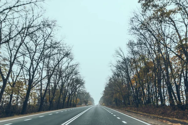 Herfst Auto Reizen Concept Bomen Met Gele Bladeren Rechte Snelweg — Stockfoto