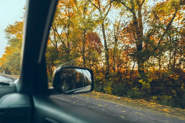 Концепция Осеннего Автомобиля Деревья Желтыми Листьями Прямо Шоссе — стоковое фото