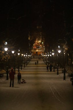 Lviv, Ukrayna - 8 Ocak 2019: Karlı şehir parkı fotokopi alanı manzarası