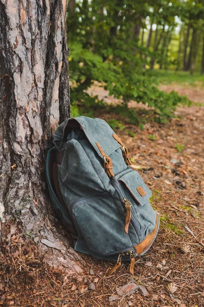 Escursionismo Zaino Vicino Albero Nel Concetto Escursionismo Foresta — Foto Stock