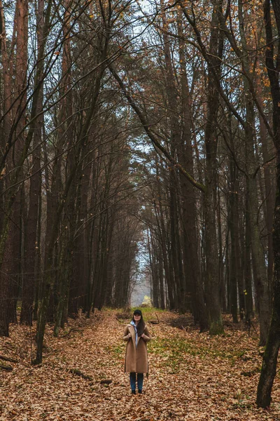 Tânără Destul Femeie Costum Toamnă Mers Jos Pădure — Fotografie, imagine de stoc