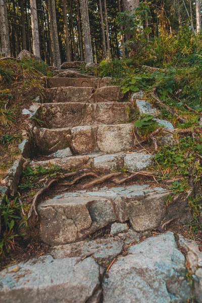 Vedere Scări Vechi Piatră Care Duc Traseul Drumețiilor Forestiere — Fotografie, imagine de stoc