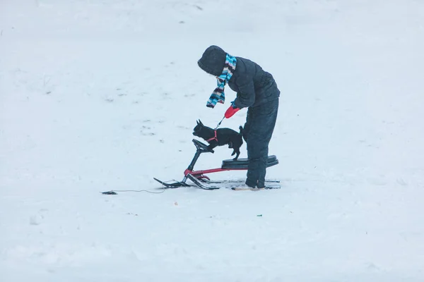 Kind Spielt Mit Hund Winter Beim Rutschen Von Verschneitem Hügel — Stockfoto