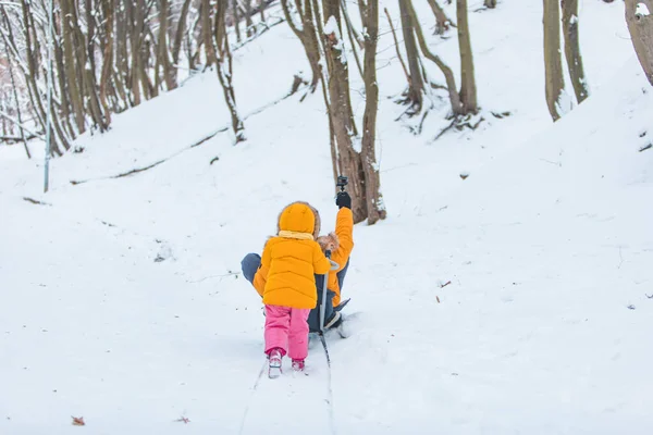 Father Plying Girl Winter Time Pulling Sledge Shooting Action Cam — Stock Photo, Image