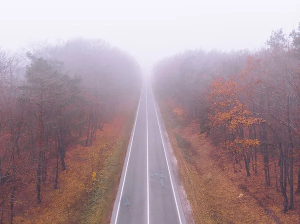 Herfst Snelweg Weg Mist Mistig Weer Auto Reizen — Stockfoto