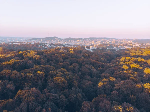 Vista Aérea Del Parque Ciudad Otoño Espacio Copia Del Atardecer —  Fotos de Stock