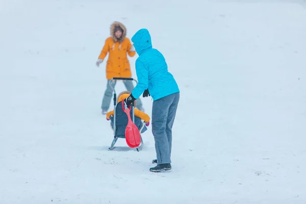 Pequena Criança Trenó Deslizando Para Baixo Pelo Inverno Nevou Colina — Fotografia de Stock