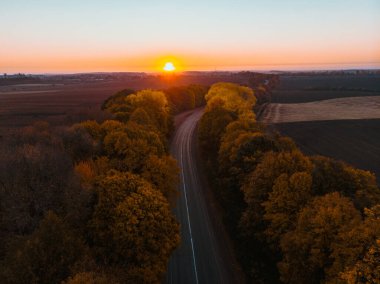 Ormandaki sonbahar otoyolunun havadan görünüşü kopyalama alanı