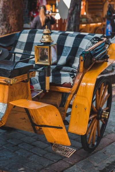 Entrenador Caballos Cerca Calle Turística Ciudad Sin Gente — Foto de Stock