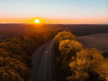 Ormandaki sonbahar otoyolunun havadan görünüşü kopyalama alanı