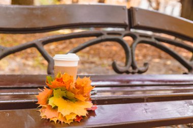 şehir parkı tezgah sonbaharda kahve fincanı ve telefon ile sarı akçaağaç yaprakları buket geliyor