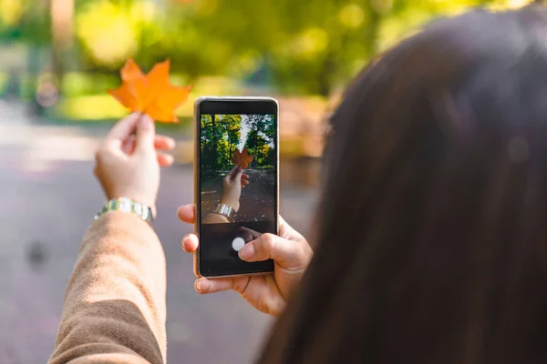 Woman Taking Picture Phone Yellow Maple Leaf Autumn Season — Stock Photo, Image