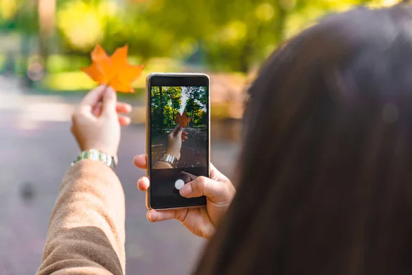 Mulher Tirar Foto Telefone Estação Outono Folha Bordo Amarelo — Fotografia de Stock