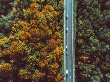 Ormandaki sonbahar otoyolunun havadan görünüşü kopyalama alanı