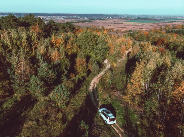 Vue Aérienne Voiture Blanche Suv Sur Espace Copie Sentier Forestier — Photo