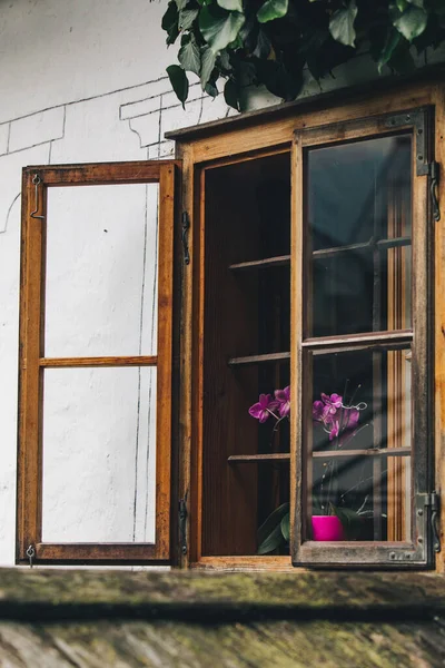Blumen Topf Auf Der Fensterbank Kopieren Platz — Stockfoto