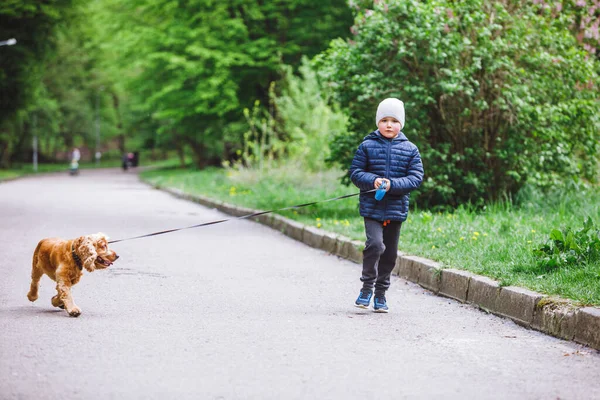 Kleines Kind Mit Kleinem Braunen Hund Läuft Durch Stadtpark — Stockfoto