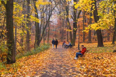 Lviv, Ukrayna - 4 Kasım 2018: Sonbahar parkı sonbahar sezonu
