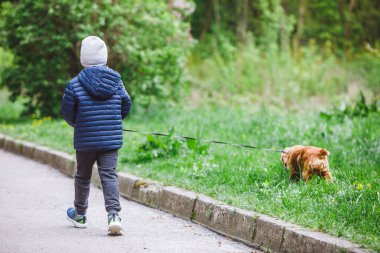 Küçük kahverengi köpeği olan küçük bir çocuk parkın fotokopi alanında koşuyor.