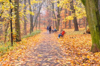 Lviv, Ukrayna - 4 Kasım 2018: Sonbahar parkı sonbahar sezonu