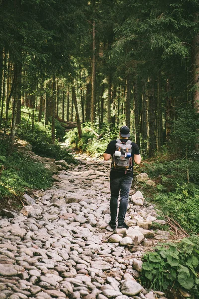 Homem Com Mochila Caminhadas Floresta Por Pedra Trilha Conceito Viagem — Fotografia de Stock