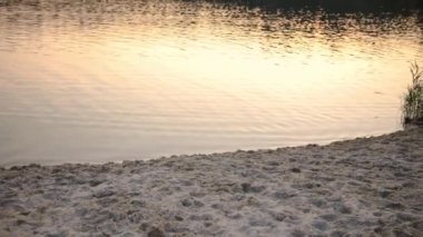 view of sunset above lake with sand beach forest on background
