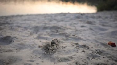 view of sunset above lake with sand beach forest on background