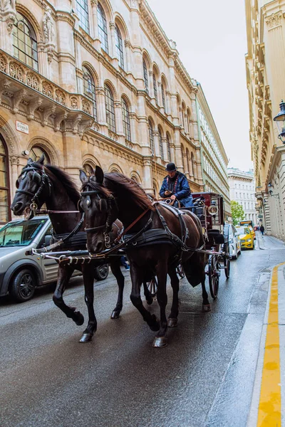 Vienna Austria May 2019 Horse Coach Attraction European City Street — Stock Photo, Image