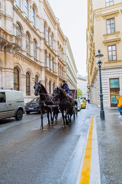 Βιέννη Αυστρία Μαΐου 2019 Άλογο Έλξης Πούλμαν Ευρωπαϊκό Δρόμο Της — Φωτογραφία Αρχείου