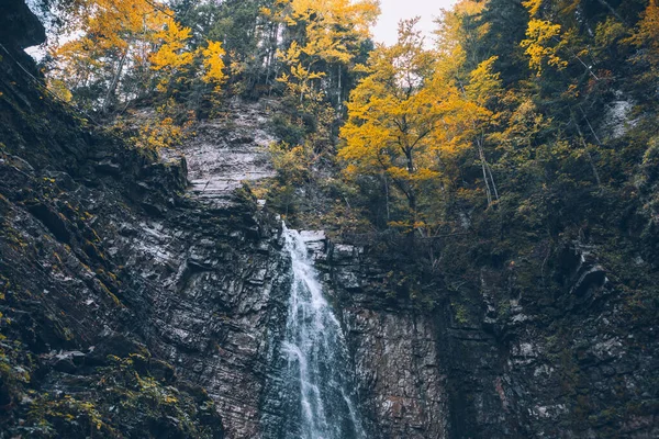 Jesień Las Wodospad Widok Krajobraz Jesień Sezon — Zdjęcie stockowe