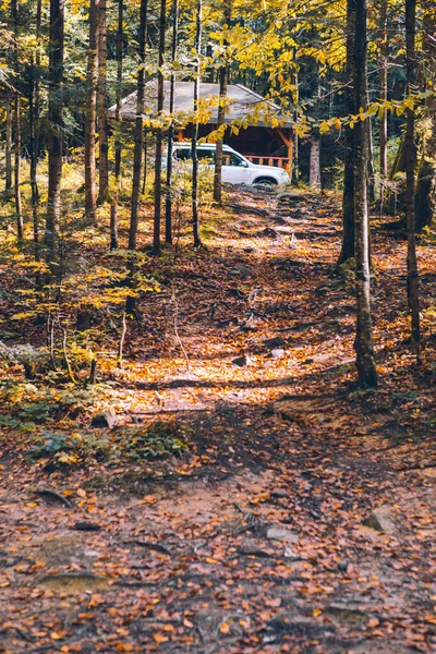 Λευκό Suv Αυτοκίνητο Στο Δάσος Φθινόπωρο Κοντά Στο Κιόσκι Αντίγραφο — Φωτογραφία Αρχείου