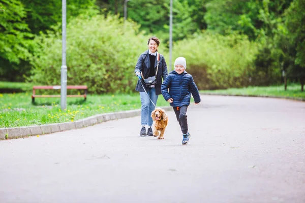 Küçük Çocuğu Köpeği Olan Genç Bir Kadın Şehir Parkında Yürüyor — Stok fotoğraf