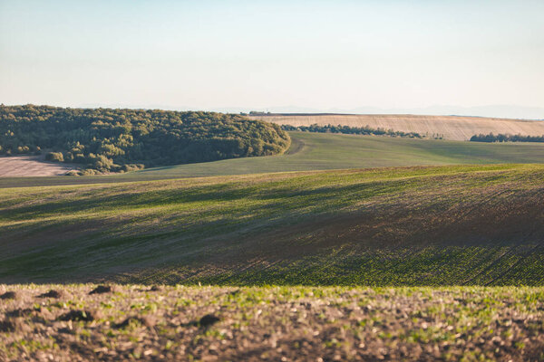 panoramic view of harvest fields on sunset blue clear sky