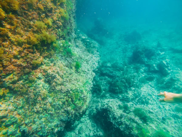 Подводное Дно Видом Море — стоковое фото