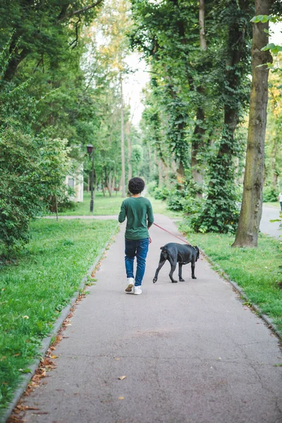 Afroamerikanischer Mann Der Öffentlichen Park Mit Einem Großen Schwarzen Hund — Stockfoto