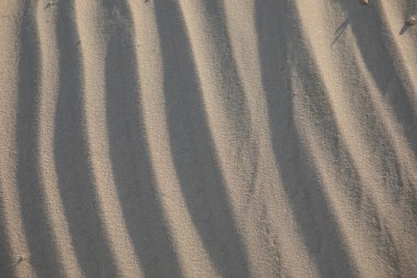 Gölgeler ve rüzgar dalgalarıyla kumlu doku. Boşluğu kopyala