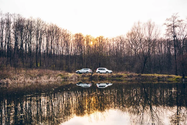 Dvě Suv Auta Lese Pěšina Jarní Čas — Stock fotografie