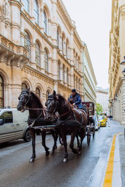 Viyana, Avusturya - 16 Mayıs 2019: Avrupa şehir caddesinde at antrenörü eğlencesi. seyahat turizmi