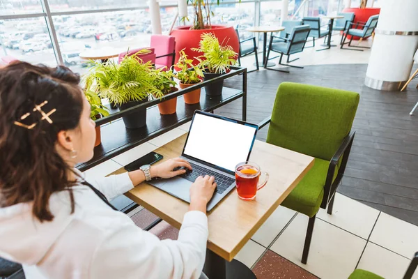 Woman Working Laptop Cafe White Screen Drinking Hot Fruit Tea — Stock Photo, Image