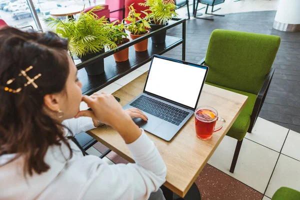 Woman Working Laptop Cafe White Screen Drinking Hot Fruit Tea — Stock Photo, Image