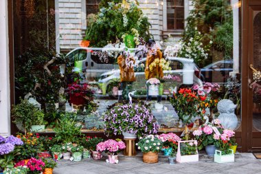 Dışardaki saksılarda çiçekler fotokopi alanı yakınlarındaki ilkbahar çiçekleri.