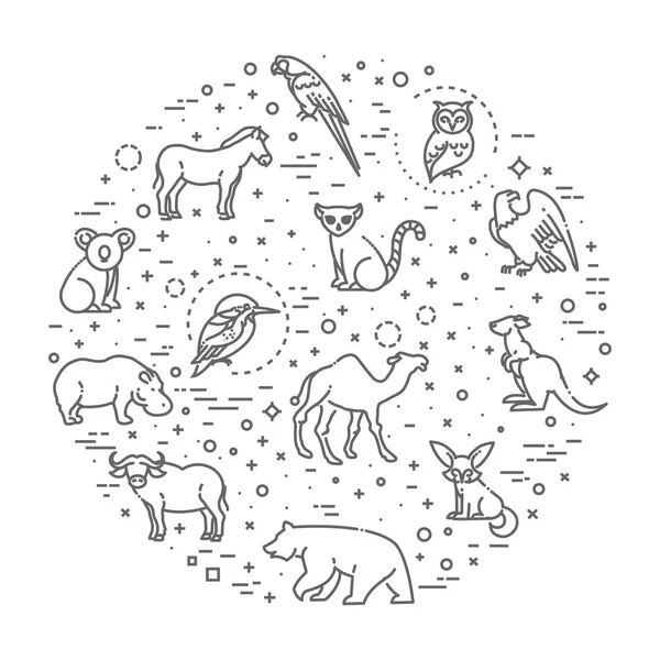 Iconos vectoriales. Zoológico. Animales. — Vector de stock